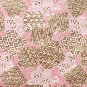 E n wD Fd˂ɓe nɔsN sDz k-2 an ܂ݍ׍H an a E