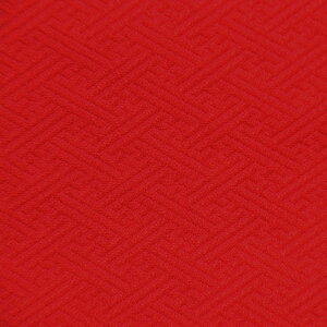 E n wD ^  sDz F-2 an ܂ݍ׍H an a E