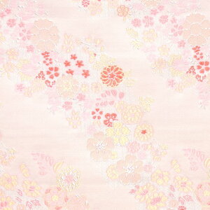 E n nԕ sDz 558 an ܂ݍ׍H an a E