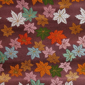 E n @JGf F@sDz\薳 560 an ܂ݍ׍H an a E