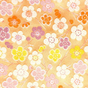 E n sDz\薳 563 an ܂ݍ׍H an a E