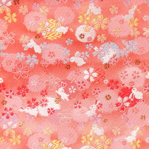 E n wD V sNF sDz\薳 j-1 an ܂ݍ׍H an a E