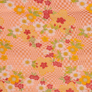 E n sNn sDz\薳 658 an ܂ݍ׍H an a E