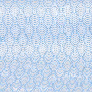 E n wD 䕿@nɃu[sDz\薳 v-1 an ܂ݍ׍H an a E