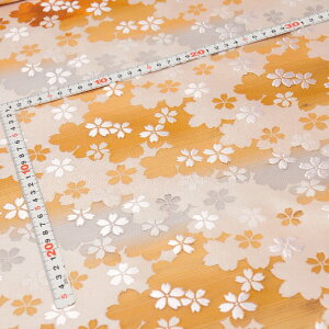 E n n┓ sDz\薳 474 an ܂ݍ׍H an a E