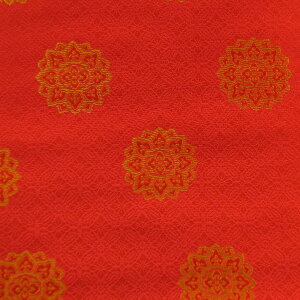 E n   sDzt 238 an ܂ݍ׍H an a E