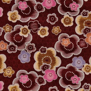 E n ~  sDz 231 an ܂ݍ׍H an a E