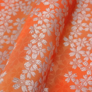 E n  IWF sDz 318 an ܂ݍ׍H an a E