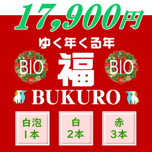 2025�䂭�N����NBIO������A�����A1�{�A��2�{�A��3�{ �v6�{