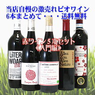 激売れ！BIO ナチュラルワイン（ビオ 自然派）赤ワイン5本セット《入門編》（クール便指定は別途400円）