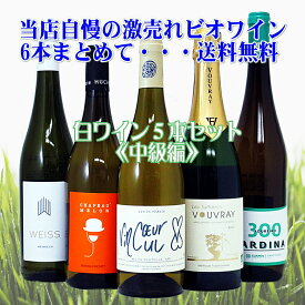 激売れ！BIO・ナチュラルワイン（ビオ：自然派）白ワイン5本セット《中級編》（クール便指定は別途400円）