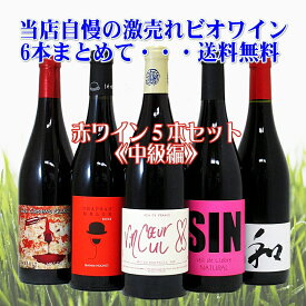 激売れ！BIO・ナチュラルワイン（ビオ：自然派）赤ワイン5本セット《中級編》（クール便指定は別途400円）
