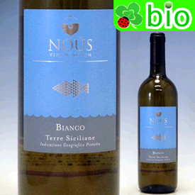 テッレ・シチリアーネ カタラット(醸し)[2022]ヌース協同組合 IGT Terre Siciliane Bianco No&ucirc;s Cooperativa Vino Nuovo
