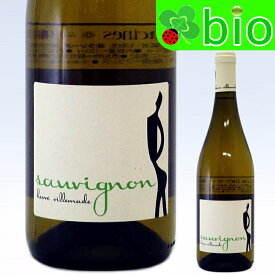 VdPヴァル・ド・ロワール　ソーヴィニョン[2022]エルヴェ・ヴィルマード(旧：ムーラン)VdP du Val de Loire Sauvignon Herv&eacute; Villemade