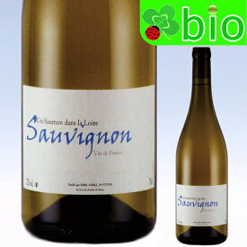 VdFソーヴィニヨン[2022]アン・ソーモン・ダン・ラ・ロワール（フランツ・ソーモン） Sauvignon de Touraine Frants Saumon Un Saumon dans la Loire (Frants Saumon)