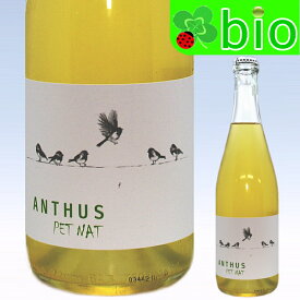 アンサス　ペット・ナット(Lot2023)(サンスフル)グアポス・ワイン・プロジェクト Anthus Pet-Nat Guapos Wine Project