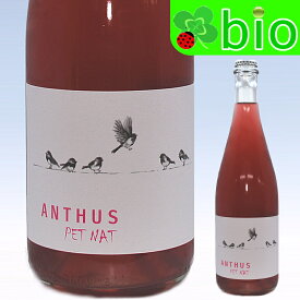 アンサス　ロゼ・ペット・ナット(Lot2022)(サンスフル)グアポス・ワイン・プロジェクト Anthus Ros? Pet-Nat Guapos Wine Project
