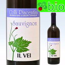 ソーヴィニョン[2023]イル・ヴェイ Sauvignon Il Vei