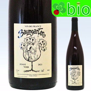 ���ē��ׁ���1000mL��A���U�X �s�m �m���[�� �g�o�E���K���e���h(������)[2023]�� �p���f�B �_���`���[�� Alsace Piont Noir Baumgarten Le Paradis d'Arthur