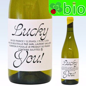 bL[ [()[2024][ TC[ Lucky You Laurent SAILLARD