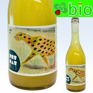 �y�b�g�i�b�g ���C���h(���A�^�T���X�t��)[2025]�N�H�[�T ���C���Y Pet Nat Wild Quasar Wines