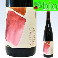 カルボニック ツヴァイゲルト(赤)[2024]ニビル Carbonic Zweigelt Nibiru Wines