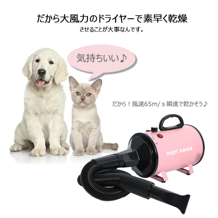 楽天市場】【ブラックフライデーP2倍＆1000円クーポン】ペット 