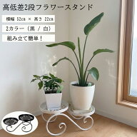 【シルバーウィーク限定8%OFFクーポン＆P2倍】観葉植物 スタンド 2段 アイアン フラワースタンド おしゃ…