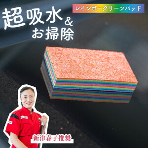 Ԍ聚N[|ōő80%OFF SNSŘbI zNX Lb`NX ^I yJX}|ďCz 12wz X|W |V[g N[pbh C{[N[pbh PVA