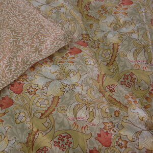 yX[p[Z[|Cg5{zHє|ӂƂ  XM[ VO { ėpHтӂƂ ӂƂ