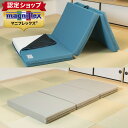 【正規販売店 安心の10年保証】マニフレックス メッシュウィング シングル 【マニフレックス認定ショップ】日本限定 三つ折り 折りたたみ 高反発マットレス マニ...