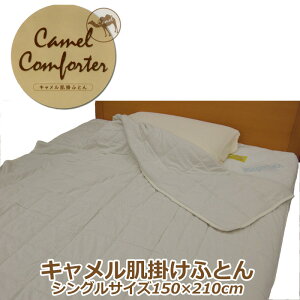 L|ӂƂ@VO@I[KjbNRbgn@t^RuN_@VRf100@ӂƂ@N@~͖ѕz̑