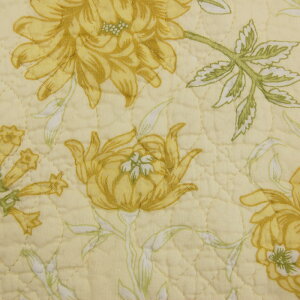 ~pbh 􂢃K[[~pbh VO n͖100 􂢐n_炩Sn  pbh