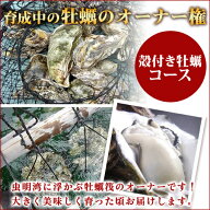 牡蠣のオーナー権販売「あなたの牡蠣を育てます！」自分の牡蠣が育つ楽しみ一口牡蠣筏オーナー権 2027（…