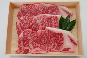 yzRYOјa@T[CXe[L3i600gjiݖ{q/R~[g//Ε/Mtg/ⓀjyyMt_̂z