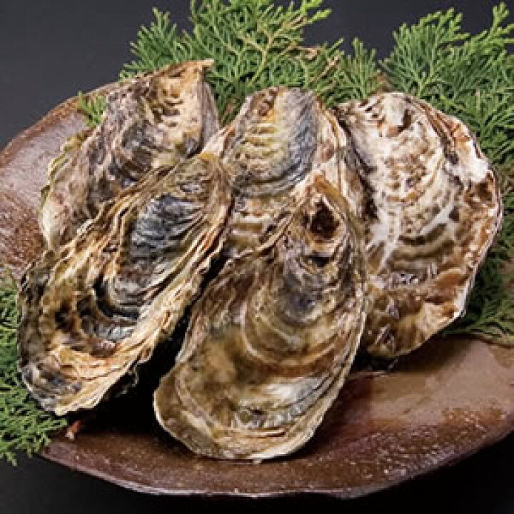 楽天市場】牡蠣 一斗缶【送料無料】殻付き 3年物 : モリ旬