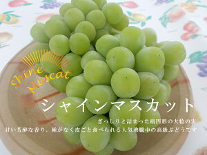 VC}XJbg 2Li3`5[jI嗱EȂA炲Ƃ̂܂ܐHׂ܂IO̓pbƒg͂ƂĂÂăW[V[[t[c/ʕ/Ԃǂ//uhE/R/