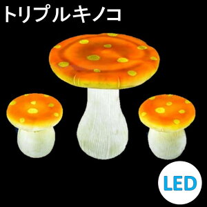 C~l[V LEDi`} gvLmR 펞_ hJ