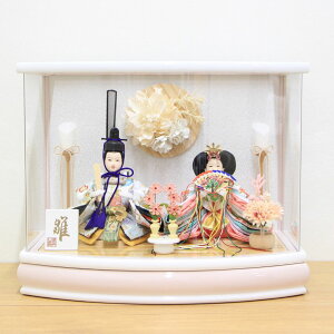 l` RpNg ꐗP[X e ANP[X 6-3 (WSA)