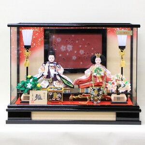 y|Cg20{ X[p[Z[ supersale Ԍ zl` P[X RpNg  ԏ wLEDƖtKXP[X HqTCY 䏊 