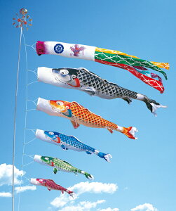 cǰ g@4m@6_ 뉀pX^hZbgi܁j