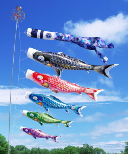 よろこびの鯉 千寿 4m 7点セット