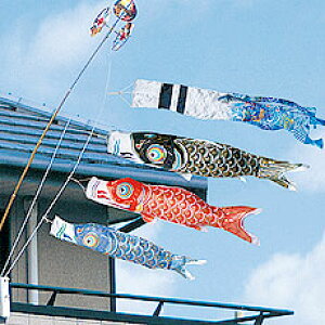 1.2mP胉X^[iqZbg y̑oz