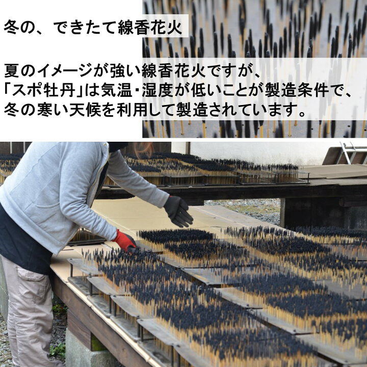 楽天市場 手持ち花火 日本でつくった花火 筒井時正 絶品 ちょこっとセレクト 冬のできたて線香花火 8本入り 人形のモリシゲ