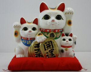 8J^OCL(zct) yyMt_z yyMt_̂z