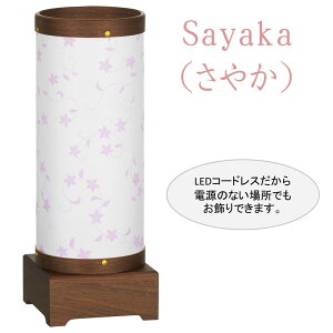 ~ u 򕌂傤 EJC SAYAKA ₩ 1 EHibg LEDdr a j[ VR