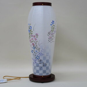 yz~ dG j[qG ؐ  47cm