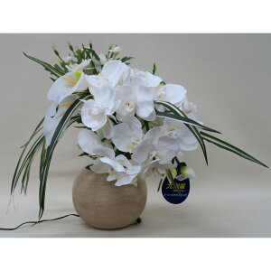 yz~iX Ӓ R`E LED G} 47cm