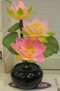 yyMt_z yyMt_̂zyIz @؃~iX@1 yu񓔁z