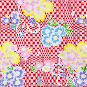 E n z ͂ ED@TCY(68cm×50cm)